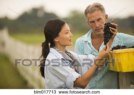 Farmers working in vineyard View Large Photo Image Stock Image - Farmers working in vineyard. Fotosearch