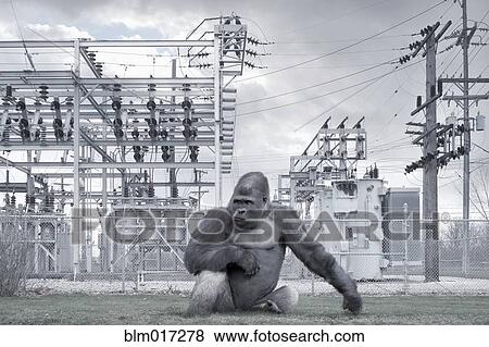 Stock Photo - Gorilla outside of power station. Fotosearch