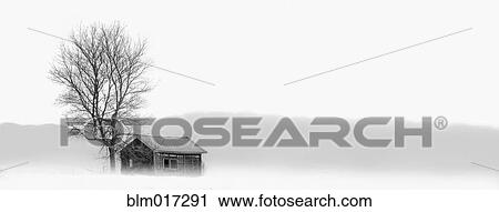Stock Image - House and bare tree in snowy landscape. Fotosearch