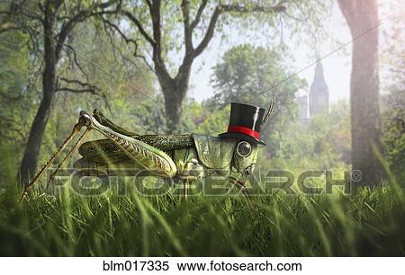 Illustration of cricket wearing monocle and top hat View Large Photo Image Stock Photography - Illustration of cricket wearing monocle and top hat. Fotosearch