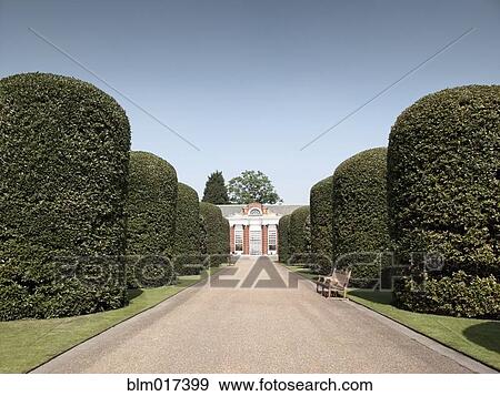 Stock Photo - Manicured hedges on ornate driveway. Fotosearch