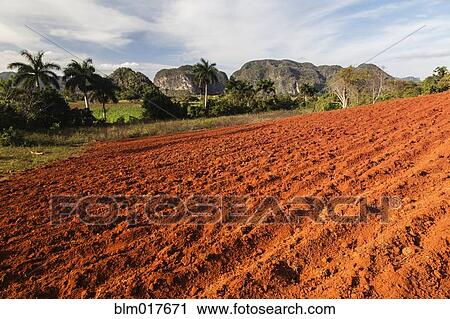 Tilled crop field in rural landscape View Large Photo Image Stock Image - Tilled crop field in rural landscape. Fotosearch