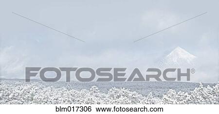 Stock Photograph - Trees in snowy landscape. Fotosearch