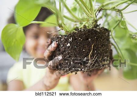 Stock Image - African American girl holding de-potted plant. Fotosearch