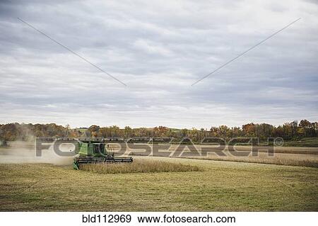 Stock Photo - Tractor cutting grass on farm. Fotosearch