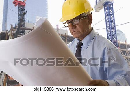 Stock Photograph - Hispanic businessman reading blueprints. Fotosearch