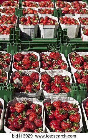 Strawberries for sale in outdoor market View Large Photo Image Stock Photo - Strawberries for sale in outdoor market. Fotosearch