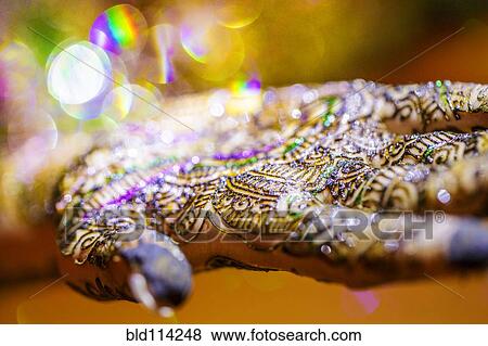 Stock Photo - Close up of hand with intricate henna design. Fotosearch