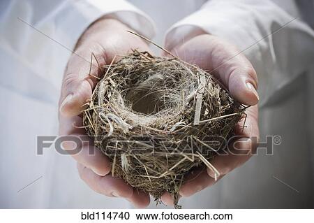 Stock Image - Hispanic man holding empty nest. Fotosearch