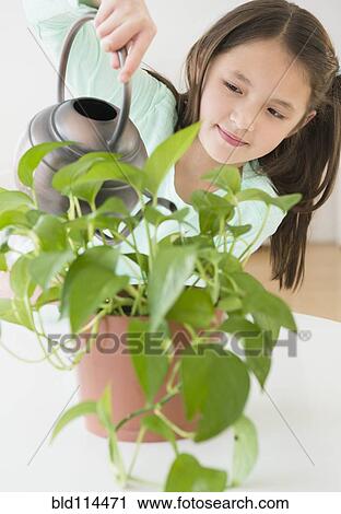 Stock Image - Mixed race girl watering indoor plants. Fotosearch