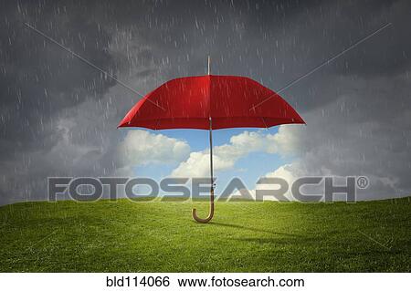 Stock Photograph - Red umbrella protecting grass from rain. Fotosearch