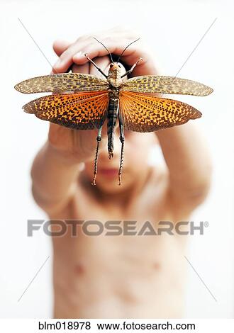 Stock Photo - Hispanic boy holding large insect. Fotosearch