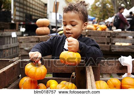 Stock Photo - Mixed race girl picking pumpkins at market. Fotosearch
