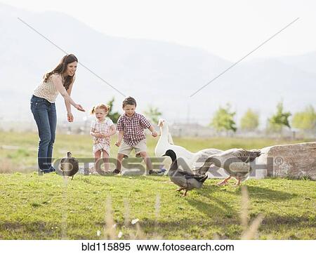 Caucasian mother and children feeding ducks and geese View Large Photo Image Stock Photography - Caucasian mother and children feeding ducks and geese. Fotosearch