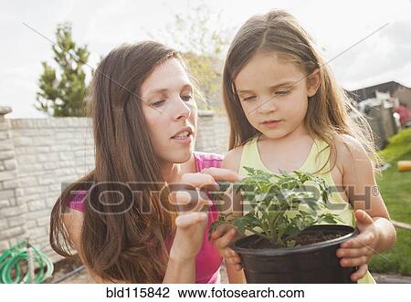 Stock Image - Caucasian mother and daughter gardening together. Fotosearch