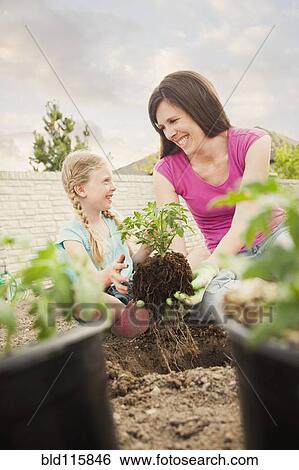 Stock Photograph - Caucasian mother and daughter planting in backyard. Fotosearch
