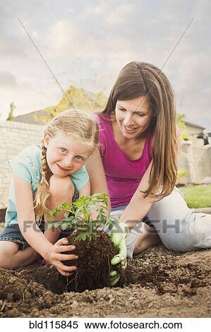 Stock Photography - Caucasian mother and daughter planting in backyard. Fotosearch