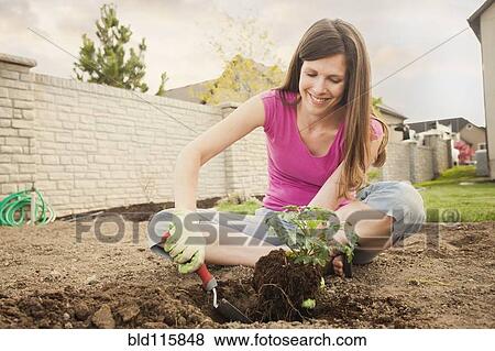 Stock Photo - Caucasian woman planting in backyard. Fotosearch