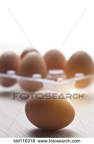 Close up of egg and egg carton View Large Photo Image Stock Photo - Close up of egg and egg carton. Fotosearch