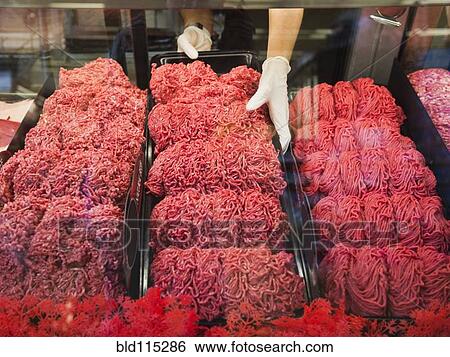 Hispanic butcher at meat counter of grocery store View Large Photo Image Stock Photograph - Hispanic butcher at meat counter of grocery store. Fotosearch
