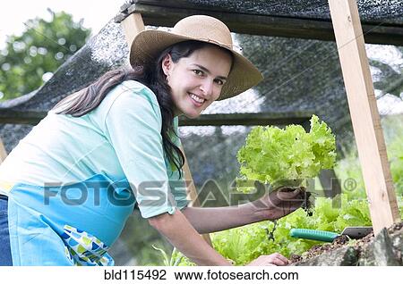Stock Image - Hispanic woman gardening. Fotosearch