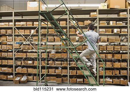 Mixed race worker examining boxes in textile factory View Large Photo Image Stock Image - Mixed race worker examining boxes in textile factory. Fotosearch