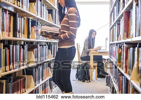 Students working in library View Large Photo Image Stock Image - Students working in library. Fotosearch