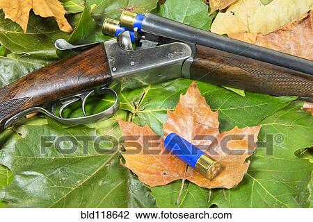 A cocked open 16 gauge shotgun View Large Photo Image Stock Image - A cocked open 16 gauge shotgun. Fotosearch