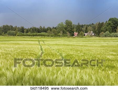Stock Photography - A farming landscape. Fotosearch