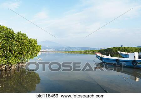 A fishing boat floating on the shallow waters in the mangrove swamp View Large Photo Image Stock Photo - A fishing boat floating on the shallow waters in the mangrove swamp. Fotosearch