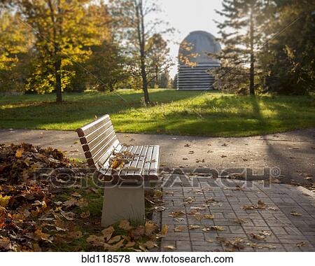 A park in autumn with mature trees and leaf fall View Large Photo Image Stock Photo - A park in autumn with mature trees and leaf fall. Fotosearch