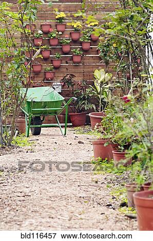 A wheelbarrow of Fruit and vegetables growing View Large Photo Image Stock Photo - A wheelbarrow of Fruit and vegetables growing. Fotosearch