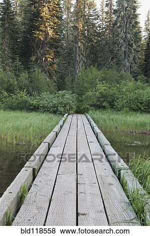Stock Photo - A wooden foot bridge crosses a stream flowing to Lake Takhlakh. Fotosearch