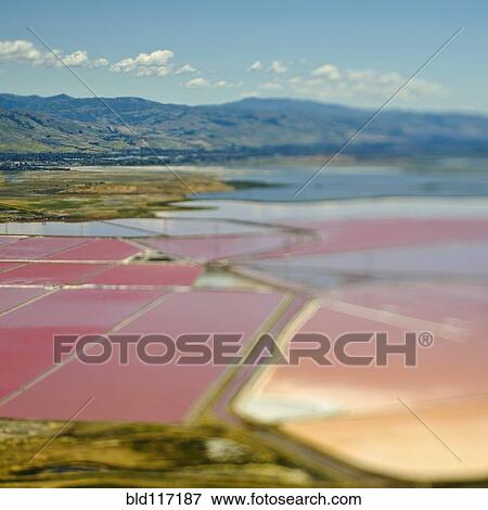 Aerial View of Pink Farm Fields View Large Photo Image Stock Photo - Aerial View of Pink Farm Fields. Fotosearch