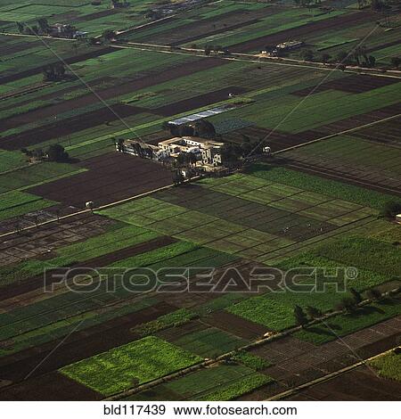 Agricultural Fields in the Nile Valley View Large Photo Image Stock Photo - Agricultural Fields in the Nile Valley. Fotosearch