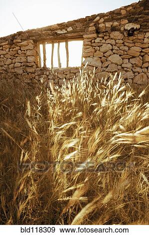 An abandoned building, with a barred window, in the Tabernas region of Almeria province View Large Photo Image Stock Photo - An abandoned building, with a barred window, in the Tabernas region of Almeria province. Fotosearch