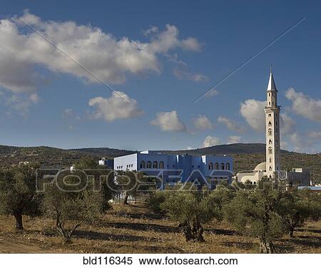 Arraba Mosque and School View Large Photo Image Stock Photography - Arraba Mosque and School. Fotosearch