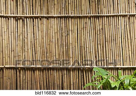 Bamboo Fence View Large Photo Image Stock Image - Bamboo Fence. Fotosearch