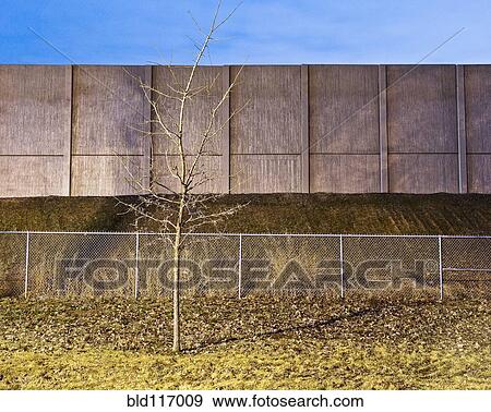 Stock Photo - Bare Tree in Front of a Barrier. Fotosearch