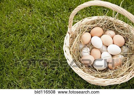 Stock Photo - Basket of Eggs in the Grass. Fotosearch
