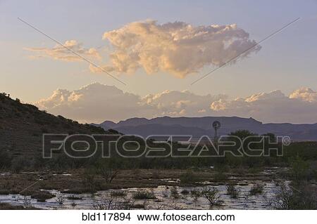 Big Bend Region After Rain View Large Photo Image Picture - Big Bend Region After Rain. Fotosearch