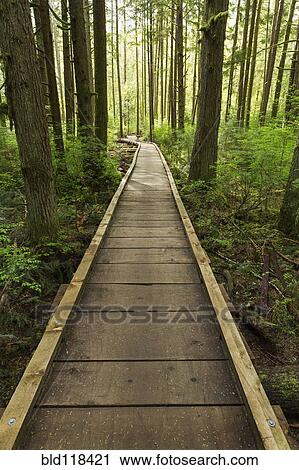 Stock Image - Boardwalk across wetland. Fotosearch
