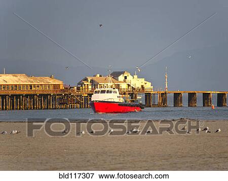 Boat on Water and Seagulls on Land View Large Photo Image Stock Photo - Boat on Water and Seagulls on Land. Fotosearch