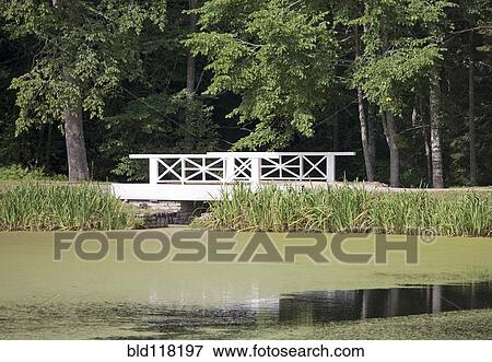 Bridge Over an Algae Covered Pond View Large Photo Image Stock Photo - Bridge Over an Algae Covered Pond. Fotosearch