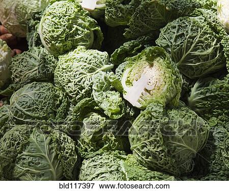 Cabbage View Large Photo Image Stock Photo - Cabbage. Fotosearch