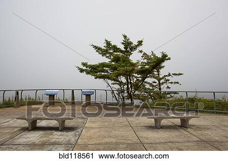 Stock Image - Cape Arago State Park on the Central Oregon Coastline. Fotosearch