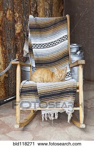 Cat on a Wooden Rocking Chair View Large Photo Image Stock Image - Cat on a Wooden Rocking Chair. Fotosearch