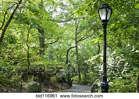 Stock Image - Central Park Walkway. Fotosearch