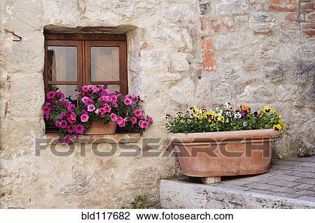 Colorful Flowers in Window Flower Box View Large Photo Image Stock Image - Colorful Flowers in Window Flower Box. Fotosearch