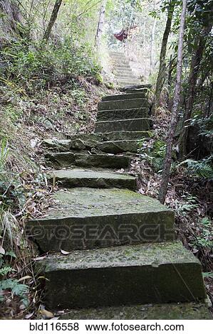 Stock Photo - Concrete Stairs in the Woods. Fotosearch